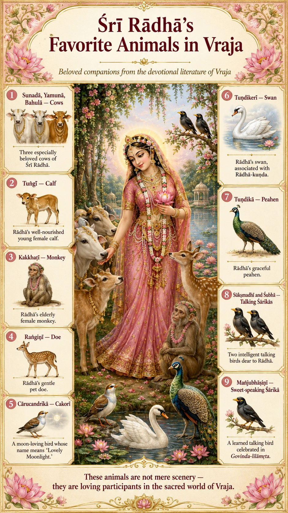 Infographic titled “Śrī Rādhā’s Favorite Animals in Vraja — beloved companions from the devotional literature of Vraja.” A central painting shows Rādhā among cows, a calf, a deer, a monkey, a peacock, a swan and mynahs, framed by nine numbered panels: 1 Sunadā, Yamunā and Bahulā, three especially beloved cows; 2 Tuṅgī, Rādhā’s well-nourished young female calf; 3 Kakkhaṭī, her elderly female monkey; 4 Raṅgiṇī, her gentle pet doe; 5 Cārucandrikā, a moon-loving cakorī whose name means “Lovely Moonlight”; 6 Tuṇḍikerī, her swan, associated with Rādhā-kuṇḍa; 7 Tuṇḍikā, her graceful peahen; 8 Sūkṣmadhī and Śubhā, two intelligent talking śārikās; 9 Mañjubhāṣiṇī, a learned talking bird celebrated in the Govinda-līlāmṛta. A footer reads that these animals are not mere scenery but loving participants in the sacred world of Vraja.