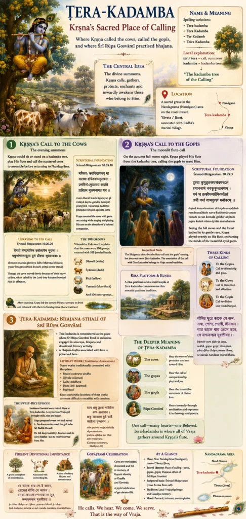 Infographic on Ṭera-kadamba, Kṛṣṇa’s sacred place of calling. The head panels give the spelling variants and the local derivation of the name from ṭer, a call, plus a map placing the grove between Nandgaon and Yāvaṭa. Three numbered sections follow: Kṛṣṇa’s evening call to the cows with Bhāgavatam 10.35.18 and 10.20.26 and Viśvanātha Cakravartī’s 108 groups of cows; Kṛṣṇa’s moonlit flute-call to the gopīs with Bhāgavatam 10.29.3, a note that the site association is Vraja tradition rather than scripture, and the three kinds of calling; and Ṭera-kadamba as Rūpa Gosvāmī’s bhajana-sthalī, with his literary works and the sweet-rice episode. A closing band shows the fourfold deeper meaning, present devotional importance and the Gopāṣṭamī celebration.